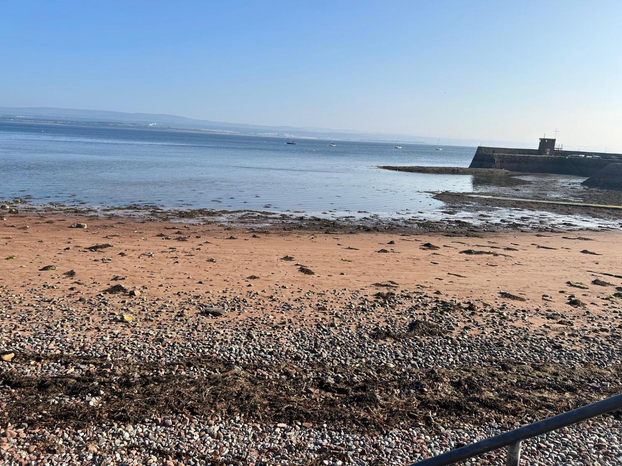 Cosy Coastal Hideaway With Incredible Sea Views Leilighet Fortrose Eksteriør bilde